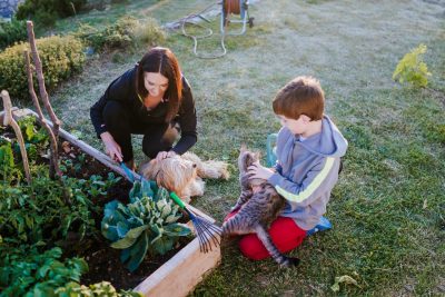 A woman and her child with their dog and cat working in their vegetable garden